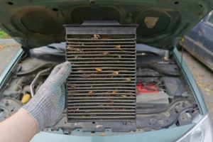 Meineke Car Care | Cabin Air Filter | Spring Hill FL