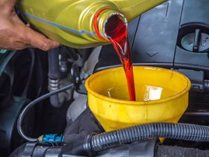 Meineke Car Care | Transmission Fluid | Tampa FL